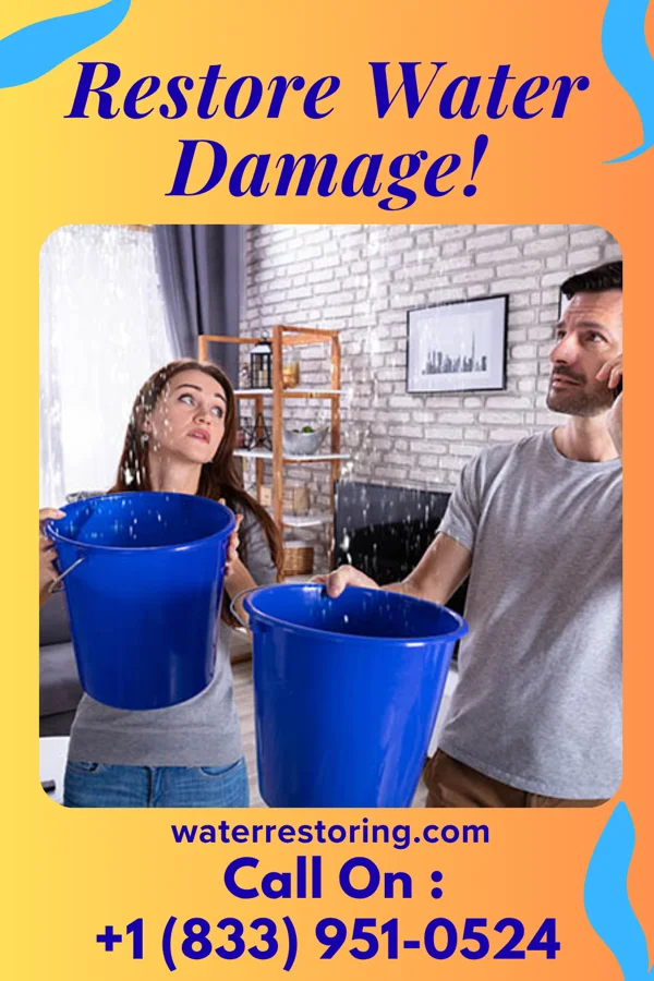 water restoration Master Storm Recovery LLC Franklin Square